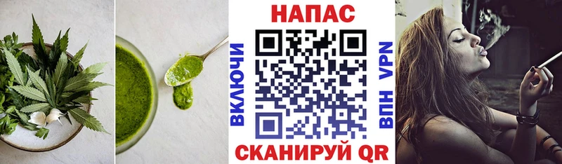 дарнет шоп  Сурск  Cannafood марихуана 