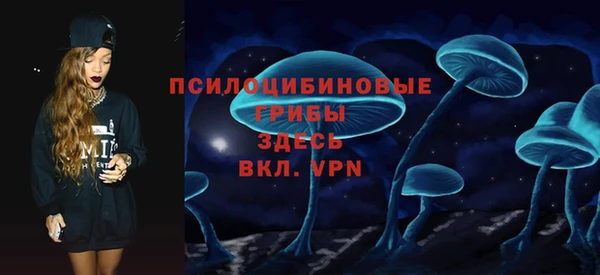 гидра Киреевск