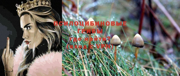 гидра Киреевск