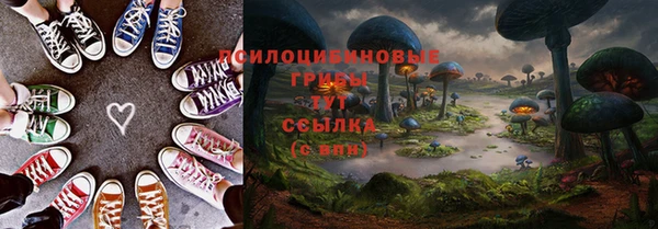 первитин Касимов