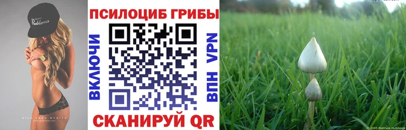 Псилоцибиновые грибы GOLDEN TEACHER  купить закладку  мориарти состав  Сурск 